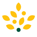 Morrisons Daily logo